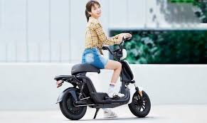 New MI Electric Cycle