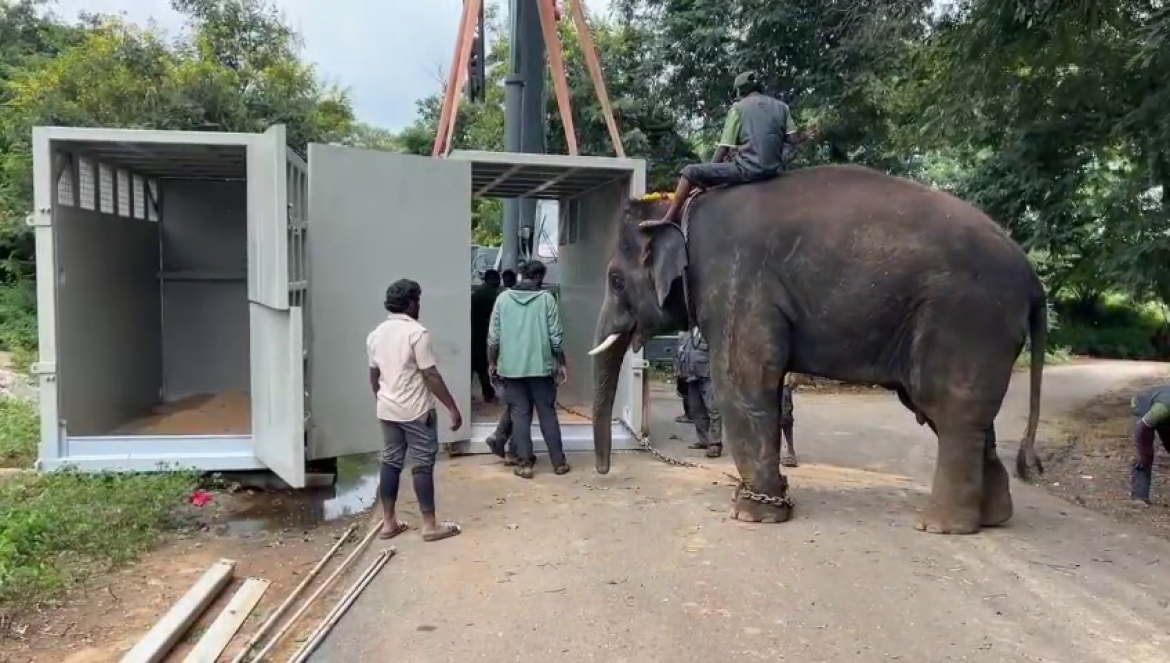 India to Japan Wildlife Exchange


