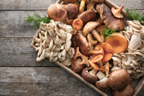 Mushroom
