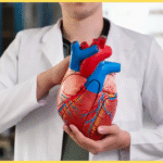 Heart Attack Prevention at Home: 10 Powerful Remedies That Actually Work