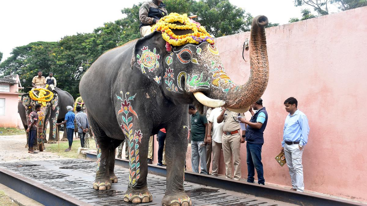 Karnataka Dasara 2025 celebrations